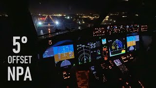 Crying Baby Tries To Mess Up My Landing 😂 NonPrecision 5 Deg Offset Night Approach [upl. by Venezia]