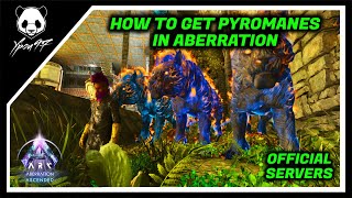 How To Get A PYROMANES In Aberration  ARK Survival Ascended [upl. by Dlorej257]