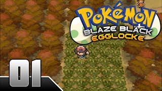 Pokémon Blaze Black Egglocke 01  Con un PAR de HUEVOS [upl. by Onirotciv]