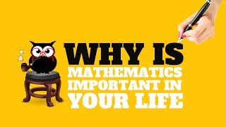 WHY IS MATHEMATICS IMPORTANT IN YOUR LIFE  ALL YOU NEED TO KNOW [upl. by Namreh461]