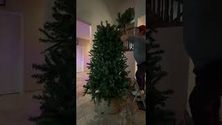 Christmas is here christmas christmasdecor christmastree [upl. by Ytsirhc]