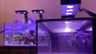 My top 3 picks for best nano reef aquariums [upl. by Ronnica]