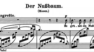 Der Nussbaum G Major Robert Schumann Piano Accompaniment [upl. by Niuqram797]