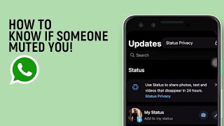 How To Know If Someone Muted You On WhatsApp easy [upl. by Swen]