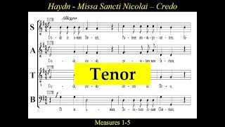 Haydn  Mass No 6  Missa Sancti Nicolai 3 Credo  Tenor [upl. by Ignatzia291]