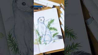 Little weasel❄️art ohuhumarkers markers markerart sketchbook cozyart copicmarkers drawwithme [upl. by Nuarb28]