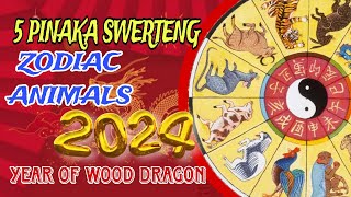 5 PINAKA SWERTENG ZODIAC ANIMALS IN 2024  LUCKIEST ZODIACS IN 2024 [upl. by Nomde]