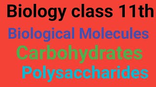 Polysaccharides Lecture 3 GlycogenStarch Cellulose Chitin and Iodine Test for polysaccharides [upl. by Ronacin]