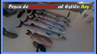 Pesca del RED GROUPER en Fort Myers una búsqueda de la captura perfecta [upl. by Nahtanod]