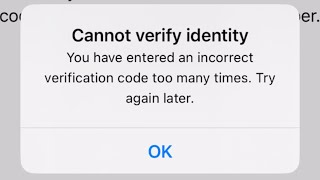 Cannot Verify Identity IPhone Apple ID 2024 [upl. by Erdei296]