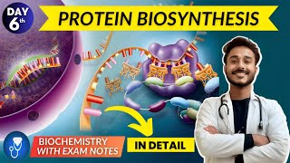 protein biosynthesis  translation biochemistry  translation in eukaryotes with animation [upl. by Adriene]