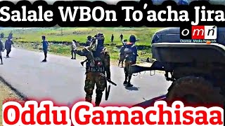 OMN ODDU AMME  Baga Gammadan  Salale WBOn Guutumati Toacha Akka Jiruu Beeksise Kunoo Daawadha [upl. by Ramberg]