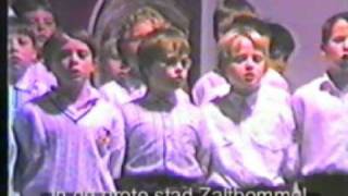 De Zomerzangertjes  In de grote stad Zaltbommel 1990 Zomergem [upl. by Yrreiht606]