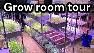 Grow room tour [upl. by Ivetts293]