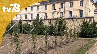 « Jardins ouverts » redécouvrez le Potager du Roi de Versailles [upl. by Downes]