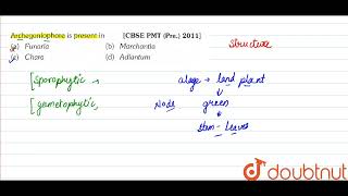 Archegoniophore is present in  11  PLANT KINGDOM  BIOLOGY  ERRORLESS  Doubtnut [upl. by Armstrong]