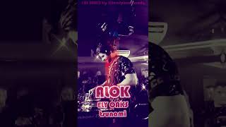 10s remix❤️ALOK❤️TSUNAMI❤️electro pop [upl. by Otti748]