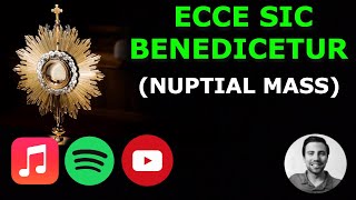 Ecce sic benedicetur omnis homo qui timet Dominum Nuptial Mass shorts [upl. by Emmery]