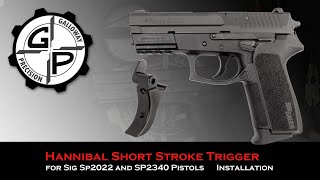 Hannibal Short Stroke Trigger Installation for the SIG Sauer SP2022 from Galloway Precision [upl. by Debora]