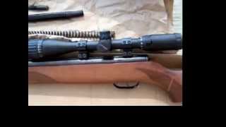 Gamo Hunter Extreme Tuned 177 [upl. by Ellerihs]