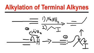 Alkylation of Terminal Alkynes  NaNH2Alkyl Halide  Organic Chemistry [upl. by Rosabella736]