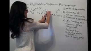 Hofmann Degradation [upl. by Proudman]