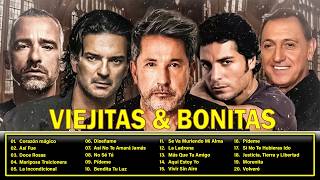 Ricardo Arjona  Ricardo Montaner  Luis Miguel  Chayanne  Franco De Vita Mix VIEJITAS amp BONITAS [upl. by Goebel]