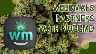 Weedmaps Partners with NuggMD to Launch Medical Cannabis Card Program [upl. by Justin]