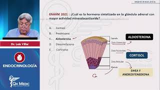 ENDOCRINOLOGÍA Banco Histórico 1 Qx Medic 2024 [upl. by Zachariah]