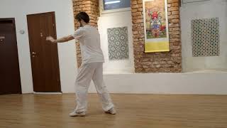 Xing Yi Quan First Basic Movement Tutorial [upl. by Egan481]