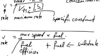 Understanding the Michaelis Menten equation [upl. by Emmons]