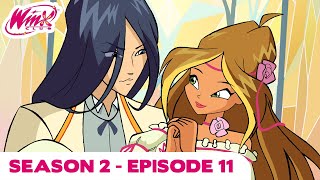 Winx Club  Season 2 Episode 11  Race Against Time  FULL EPISODE [upl. by Averill]