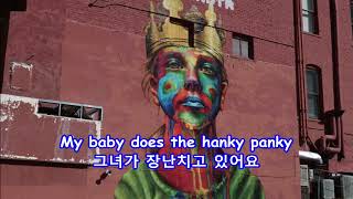 Hanky Panky  Tommy James and the Shondells with Lyrics가사번역  Downtown Denver Colorado 2017 [upl. by Rossi]