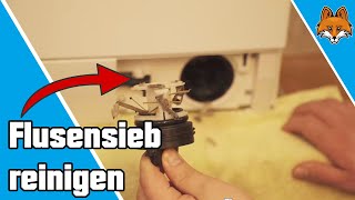 Flusensieb reinigen an der Waschmaschine  super einfache Anleitung 🚿 [upl. by Ninahs]