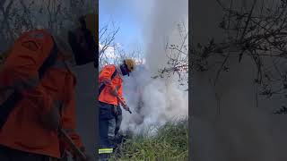 Um dia de combate aos incêndios florestais em Minas Gerais [upl. by Adlecirg852]