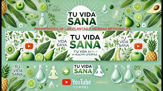 Propiedades de las Plantas y Hierbas Medicinales [upl. by Maude454]