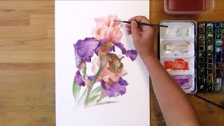 Orange Purple Irises  Watercolor Painting [upl. by Ravert]