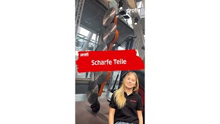 Scharfe Teile  Agritechnica mit Anouk 48 [upl. by Enilrae]