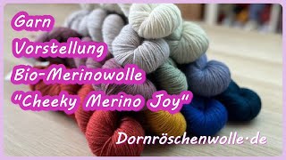 Garnvorstellung BioMerinowolle quotCheeky Merino Joyquot mit einem kleinen Gruß aus der Färbe Küche [upl. by Adekahs]