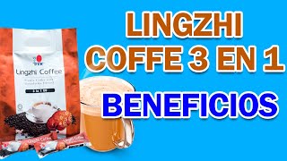 LINGZHI COFFEE 3 EN 1 DXN Beneficios Propiedades y Como Tomarlo🙂 [upl. by Dream450]