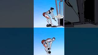 Hamstring exercises workout excercise hamstrings [upl. by Brunn]