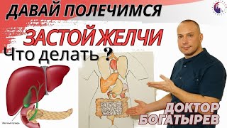 Застой желчи Что делать Признаки симптомы [upl. by Magnus]