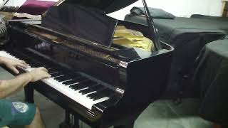 Sweet sounding WURLITZER baby grand piano [upl. by Jew]