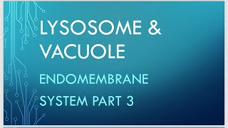 Lysosome And Vacuole Detail Explanation in easiest method Endomembrane system part 3 Biologygyaan [upl. by Germaun]