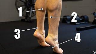 Chronic Ankle Instability  Recurrent Lateral Sprains Strength  Plyometrics  Balance Exercises [upl. by Vivienne]