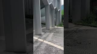 Inside Singapores Hidden Bugis Bee House [upl. by Aihsekal]