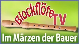 Im Märzen der Bauer • deutsche Blockflöte [upl. by Lemraj]