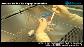 Prepare hESCs for Cryopreservation [upl. by Pierro]