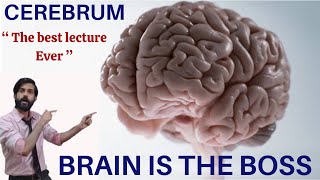 Control and Coordination  Cerebrum  Telencephalon  Olfactory lobes  Rhinencephalon  Made Easy [upl. by Nahtnaoj]