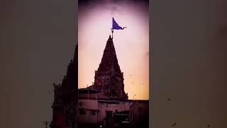 Dwarika No Nath dwarikastatus dwarkadhish krishna [upl. by Scornik]